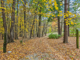 Hornettown Ln-S0211-020.jpg