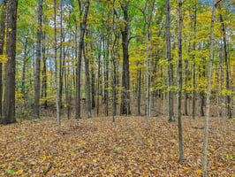 Hornettown Ln-S0211-021.jpg