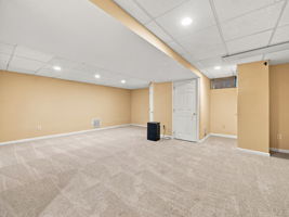  Photo 49