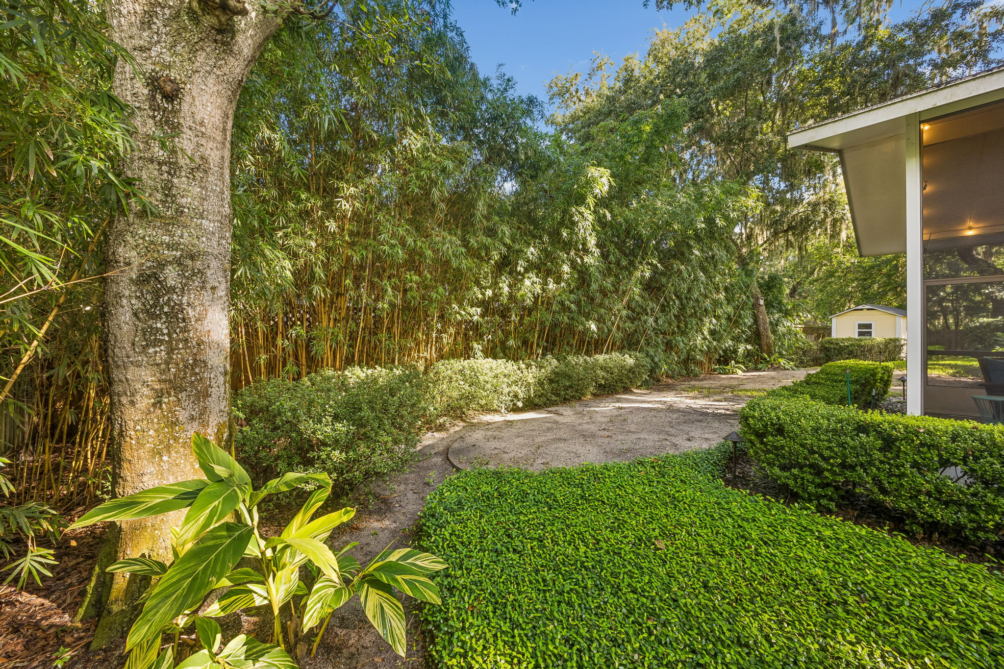 Backyard