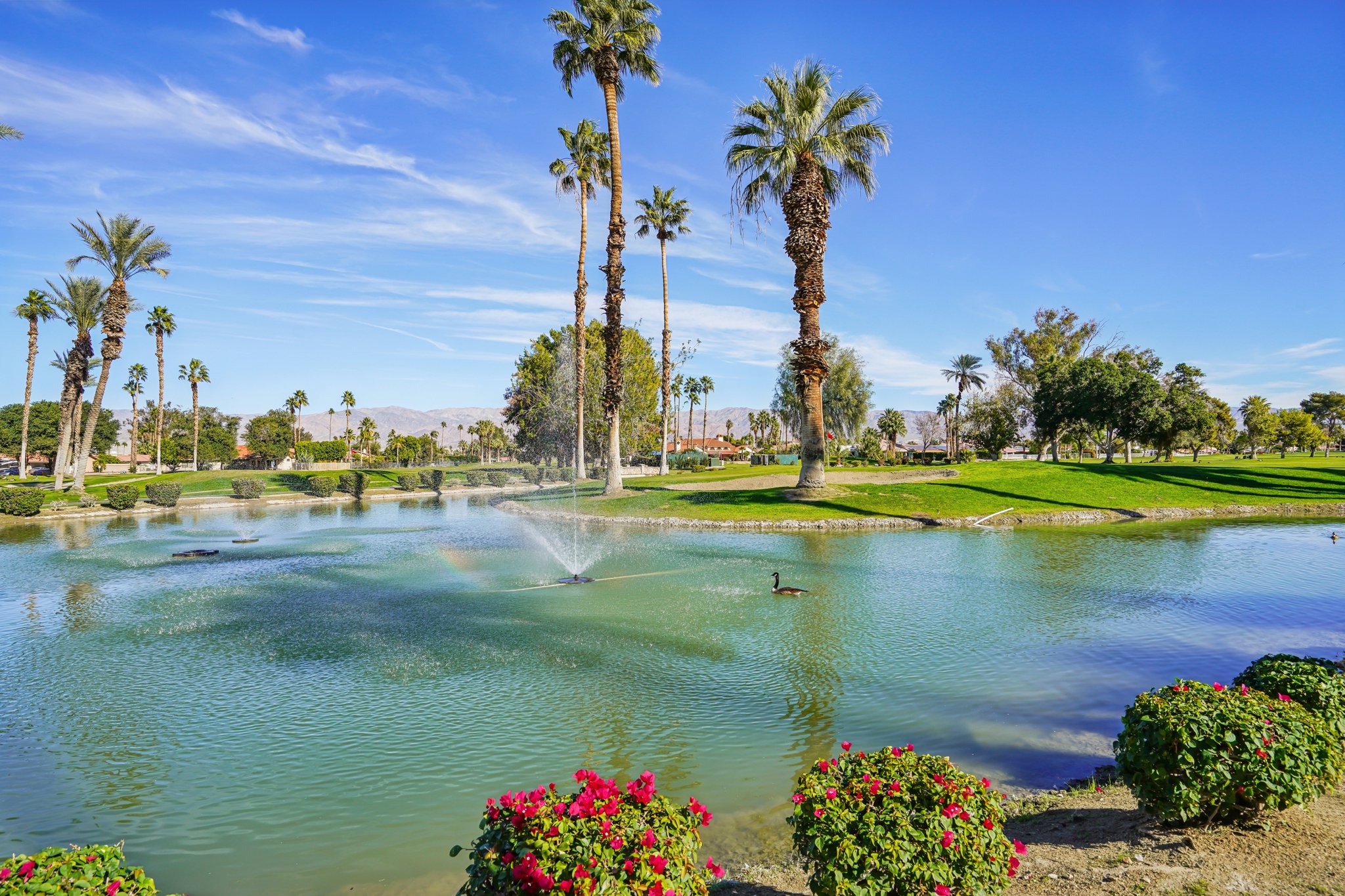 Wayne St-1501-907.jpg