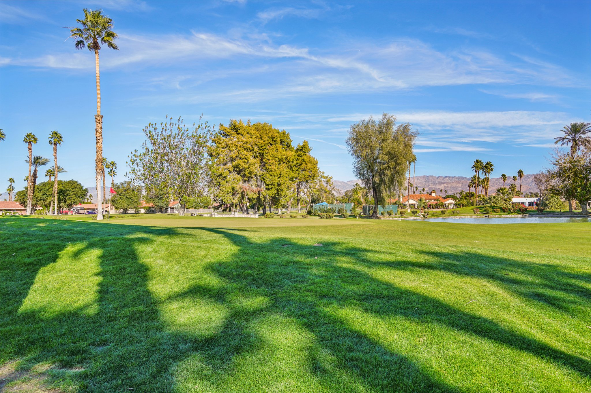 Wayne St-1501-909.jpg