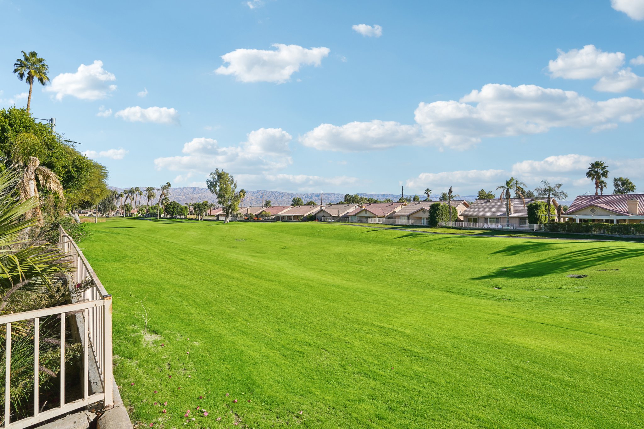 Wayne St-S1601-031.jpg