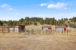 Loafing Shed/Chicken coop
