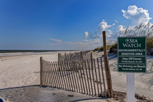 Scott Road Beach Access