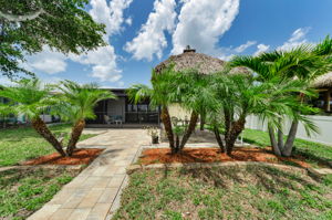 Backyard9