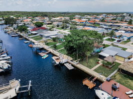 Aerial (14)