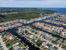 Aerial (17)