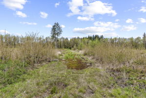  Photo 33