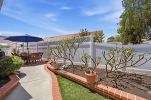 Backyard (3)