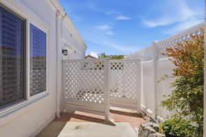 Backyard (7)