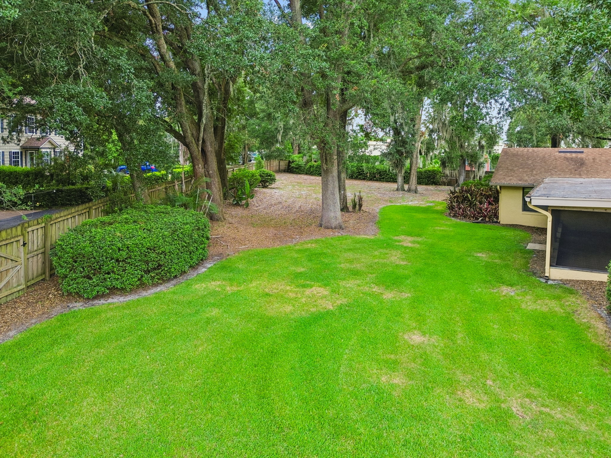 Back Yard