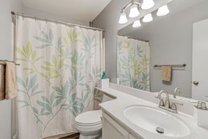 Hall Bathroom