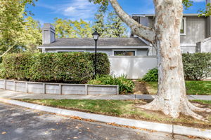 Back Yard View From Street