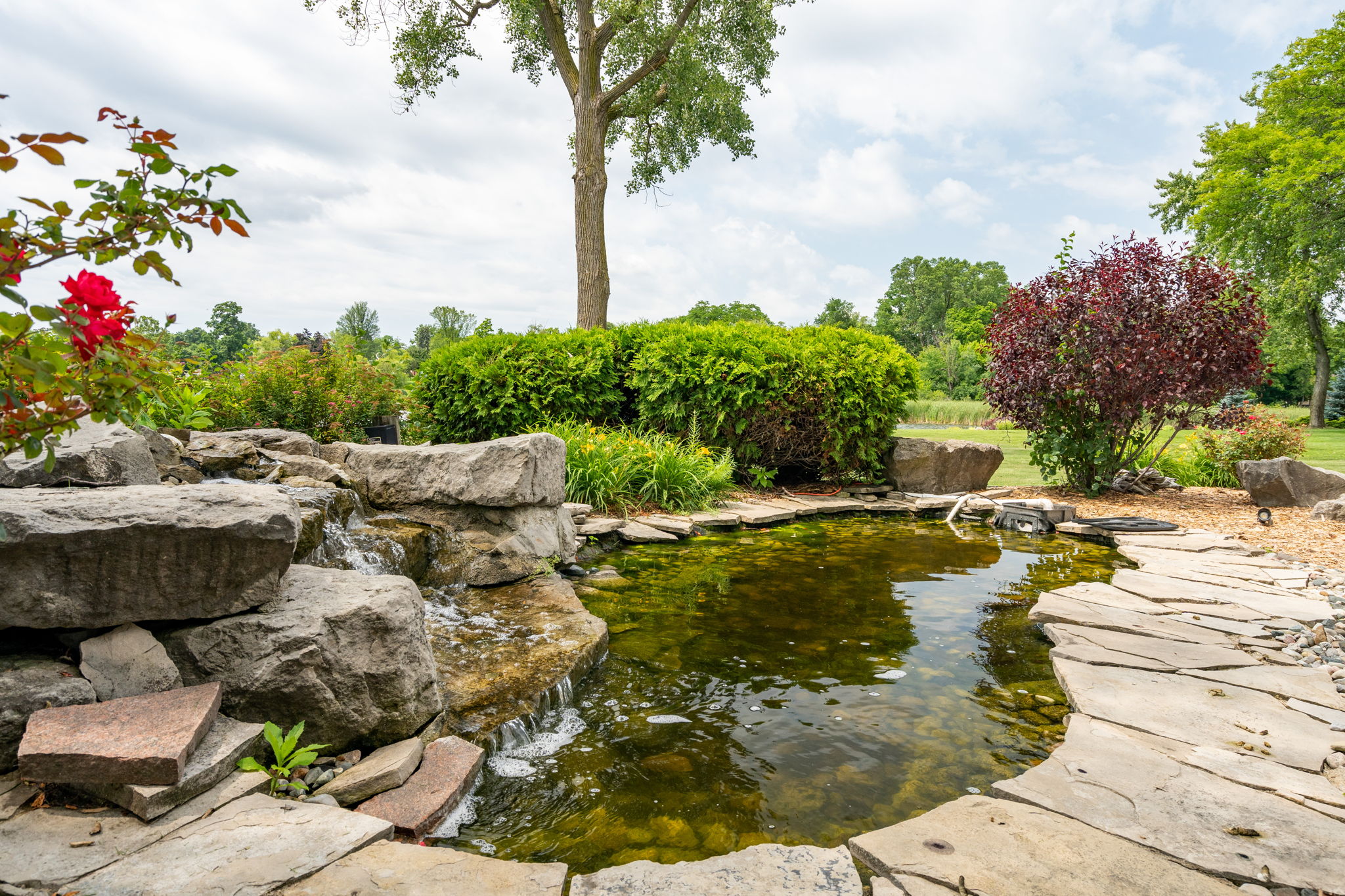 Beautiful landscaping