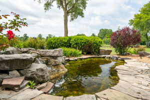 Beautiful landscaping