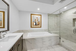 Primary Bathroom Tub and Shower