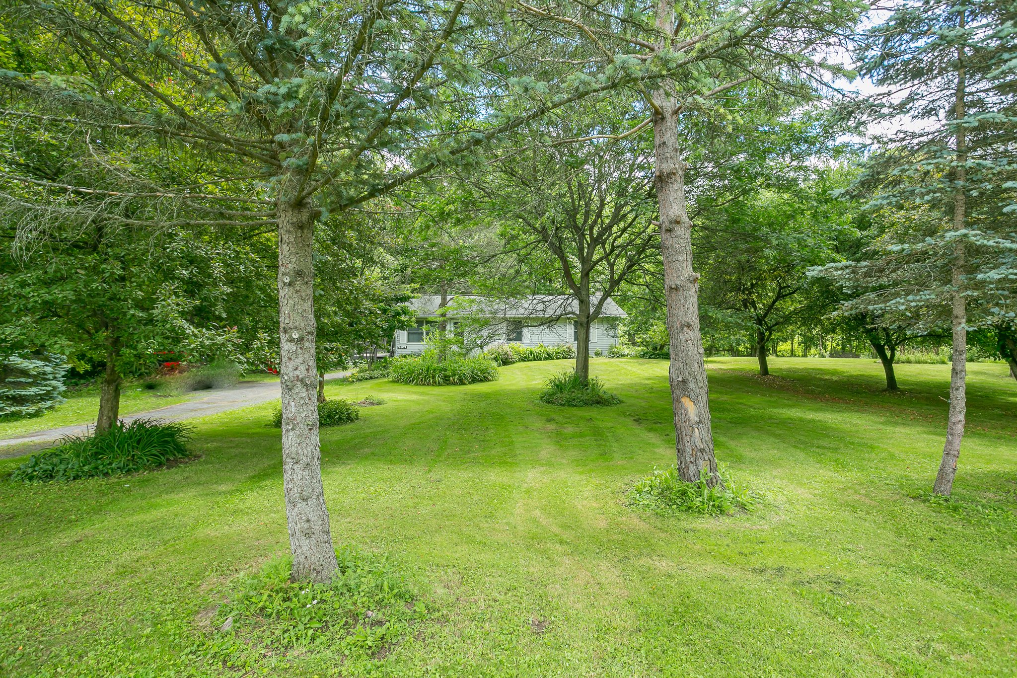 4971 Wiborn Rd, Shortsville, NY 14548, USA Photo 28