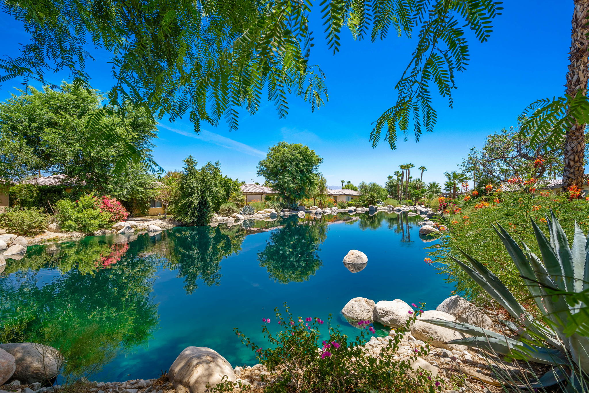49728 Pacino St, Indio, CA 92201, USA Photo 52