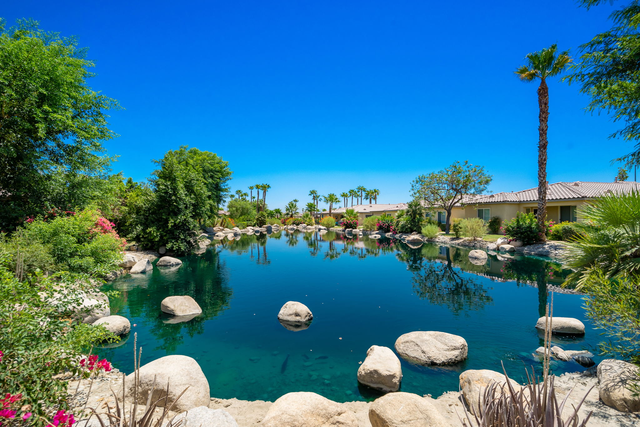 49728 Pacino St, Indio, CA 92201, USA Photo 53