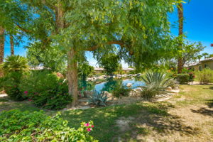49728 Pacino St, Indio, CA 92201, USA Photo 50