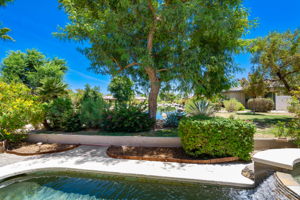 49728 Pacino St, Indio, CA 92201, USA Photo 53