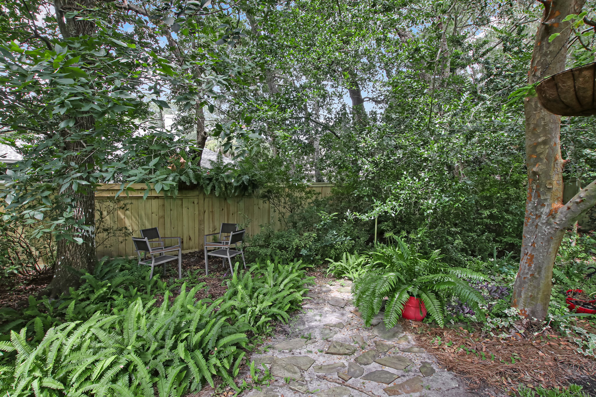 Backyard