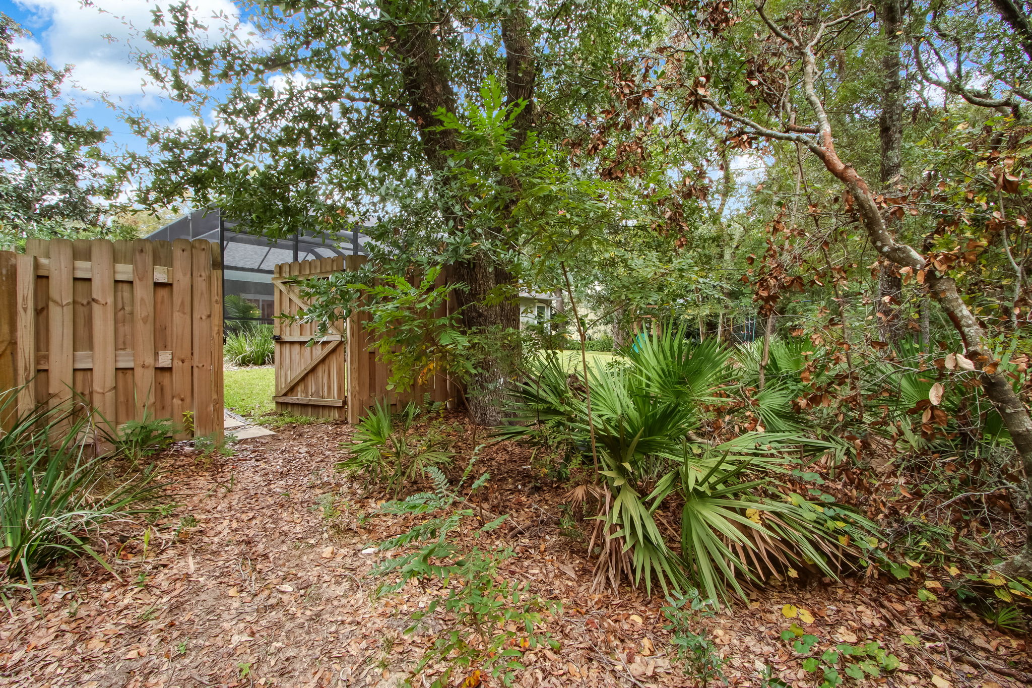 Backyard