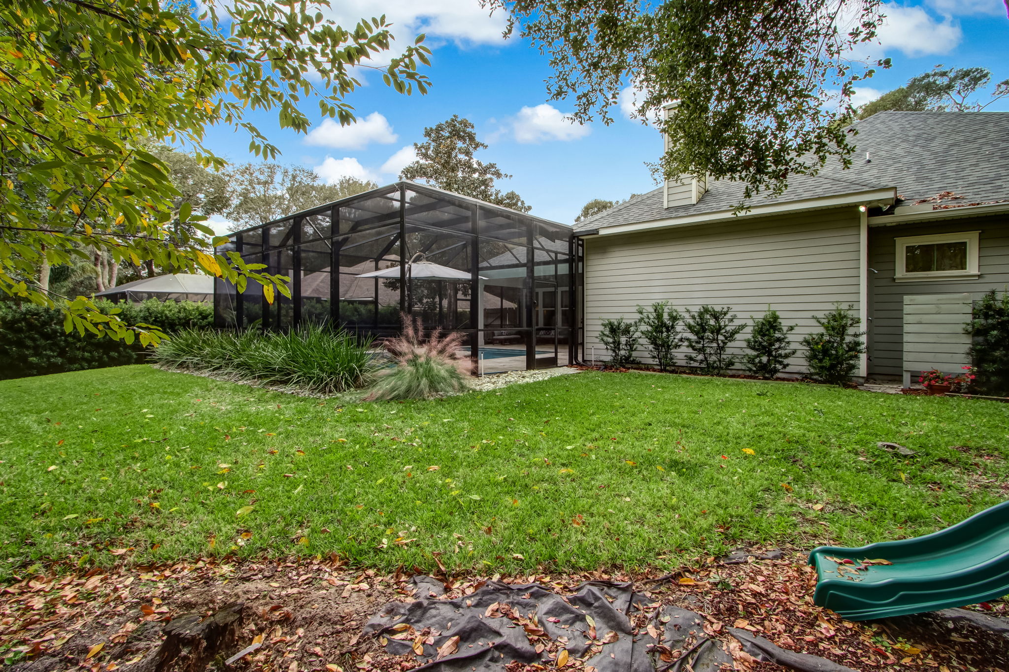 Backyard