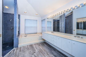 Master Bathroom1a-3