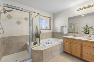 Primary bathroom
