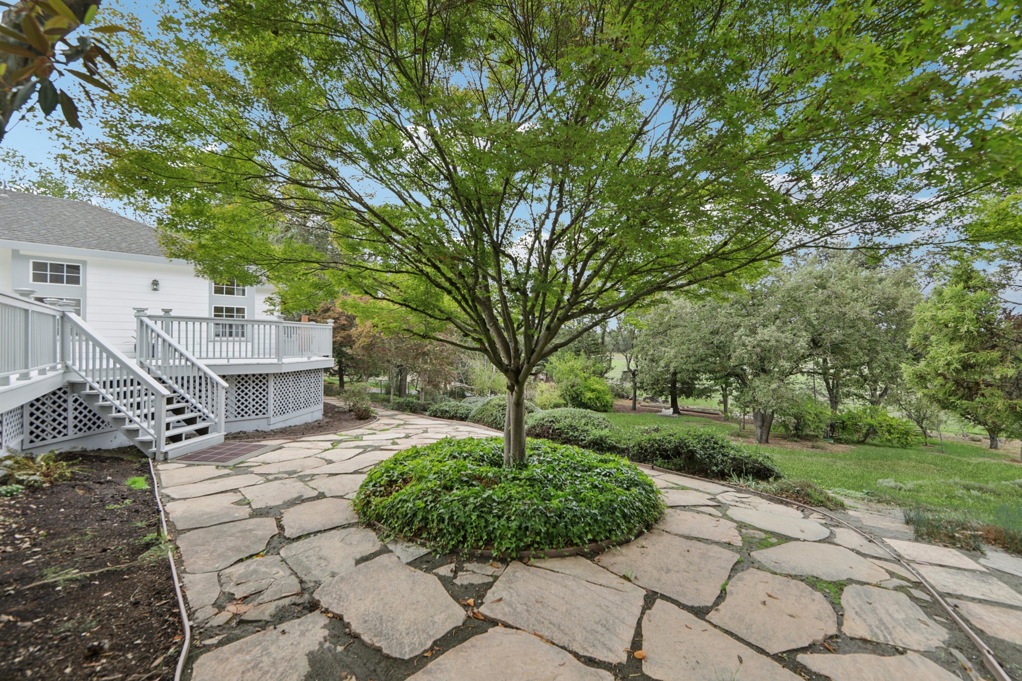 Sierra Vista Rd-L0110-052.jpg