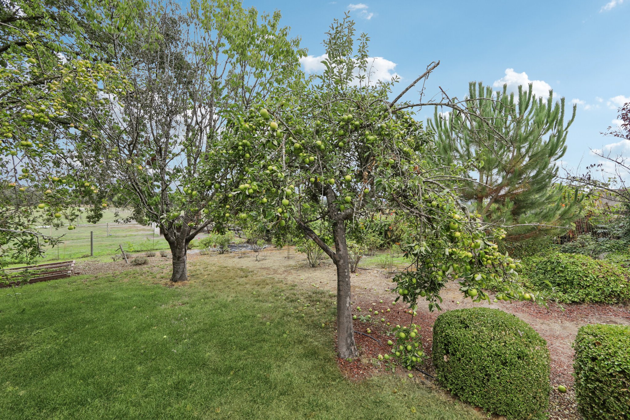 Sierra Vista Rd-L0110-059.jpg