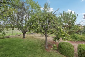 Sierra Vista Rd-L0110-059.jpg