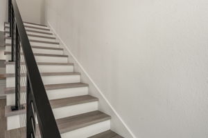  Photo 53