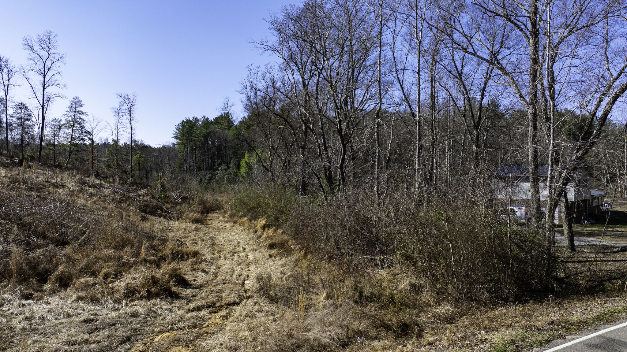  Photo 23