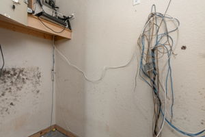  Photo 31