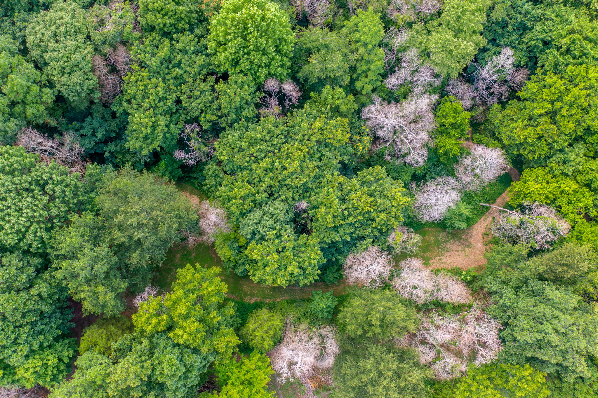 4985 Minnis Rd, Springfield, TN 37172, USA Photo 39