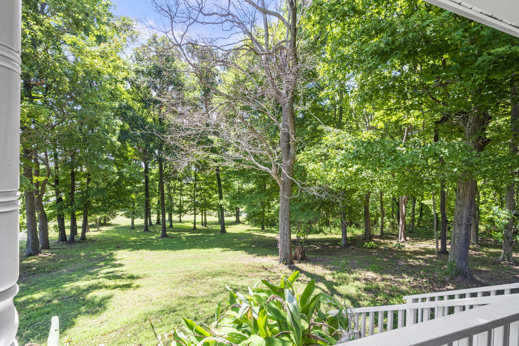 4985 Minnis Rd, Springfield, TN 37172, USA Photo 15