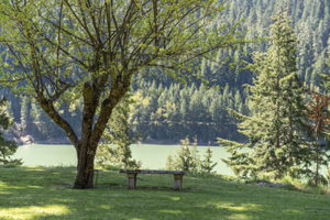  Photo 52
