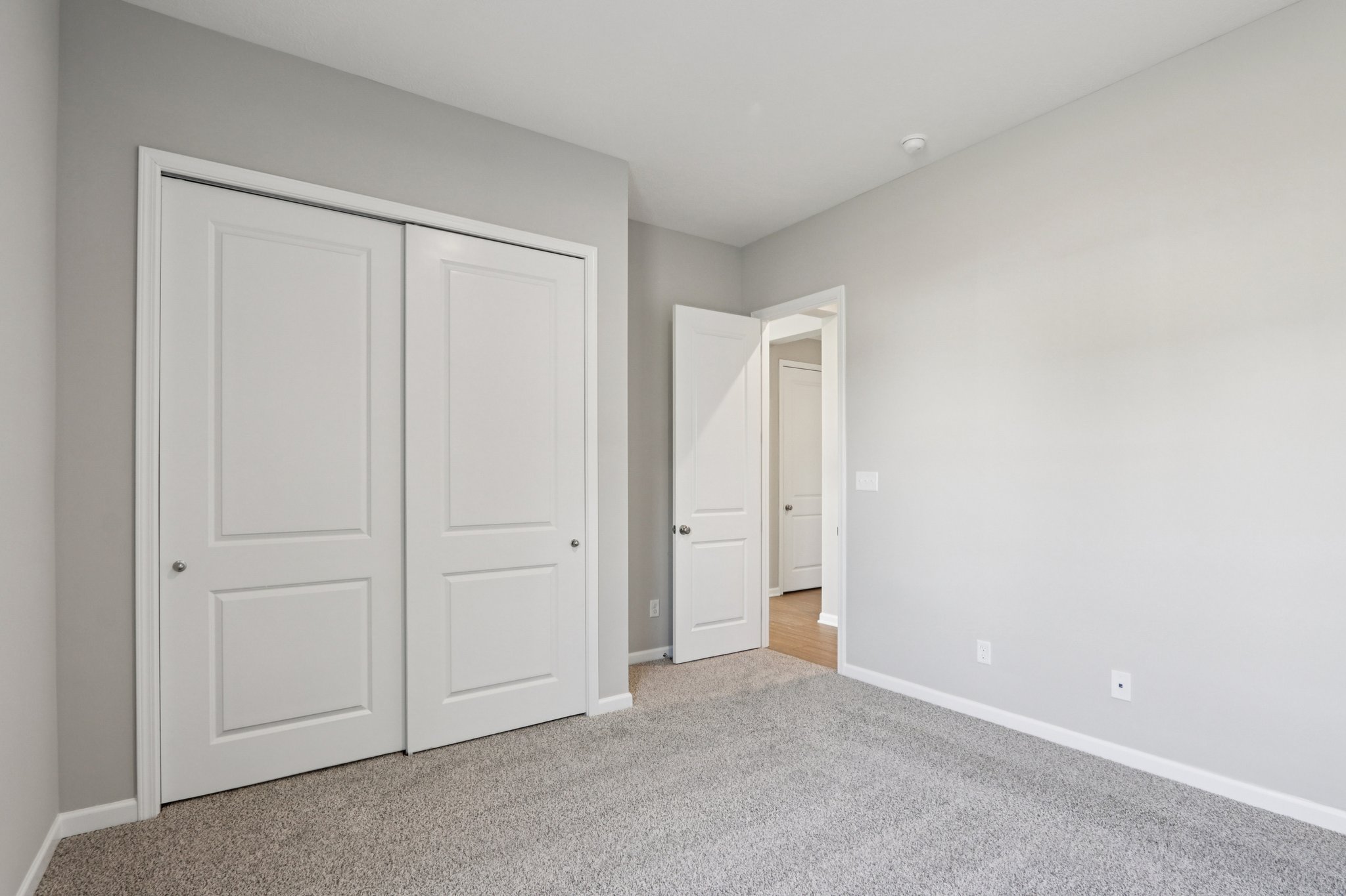 Elaine Ct-S2201-025.jpg