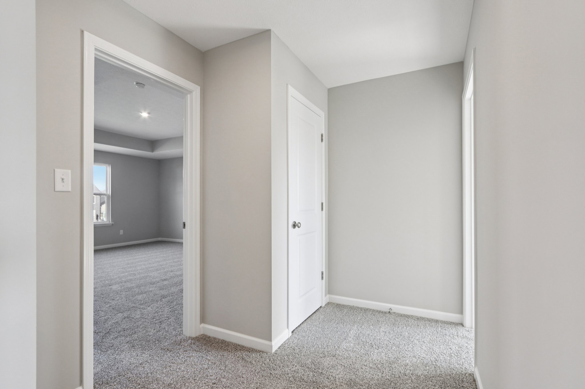 Elaine Ct-S2201-031.jpg