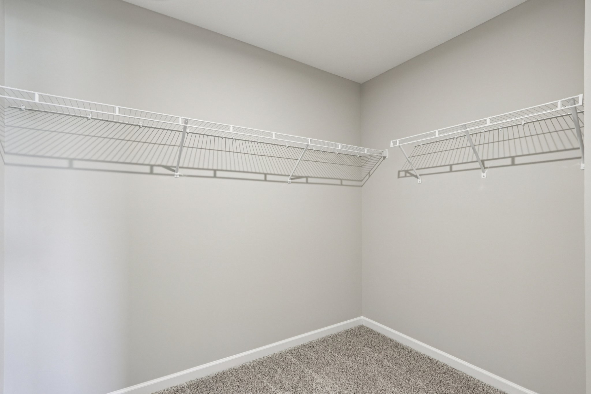 Elaine Ct-S2201-037.jpg