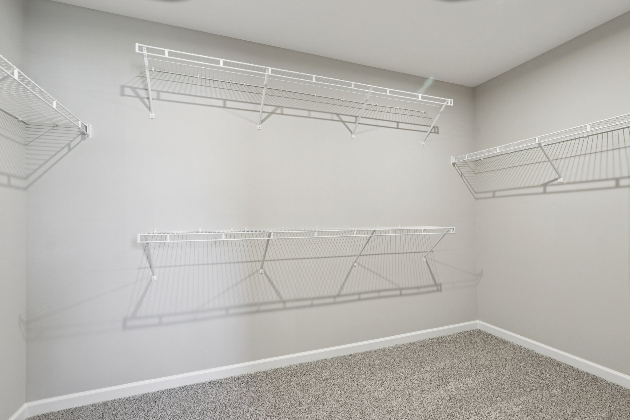 Elaine Ct-S2201-043.jpg