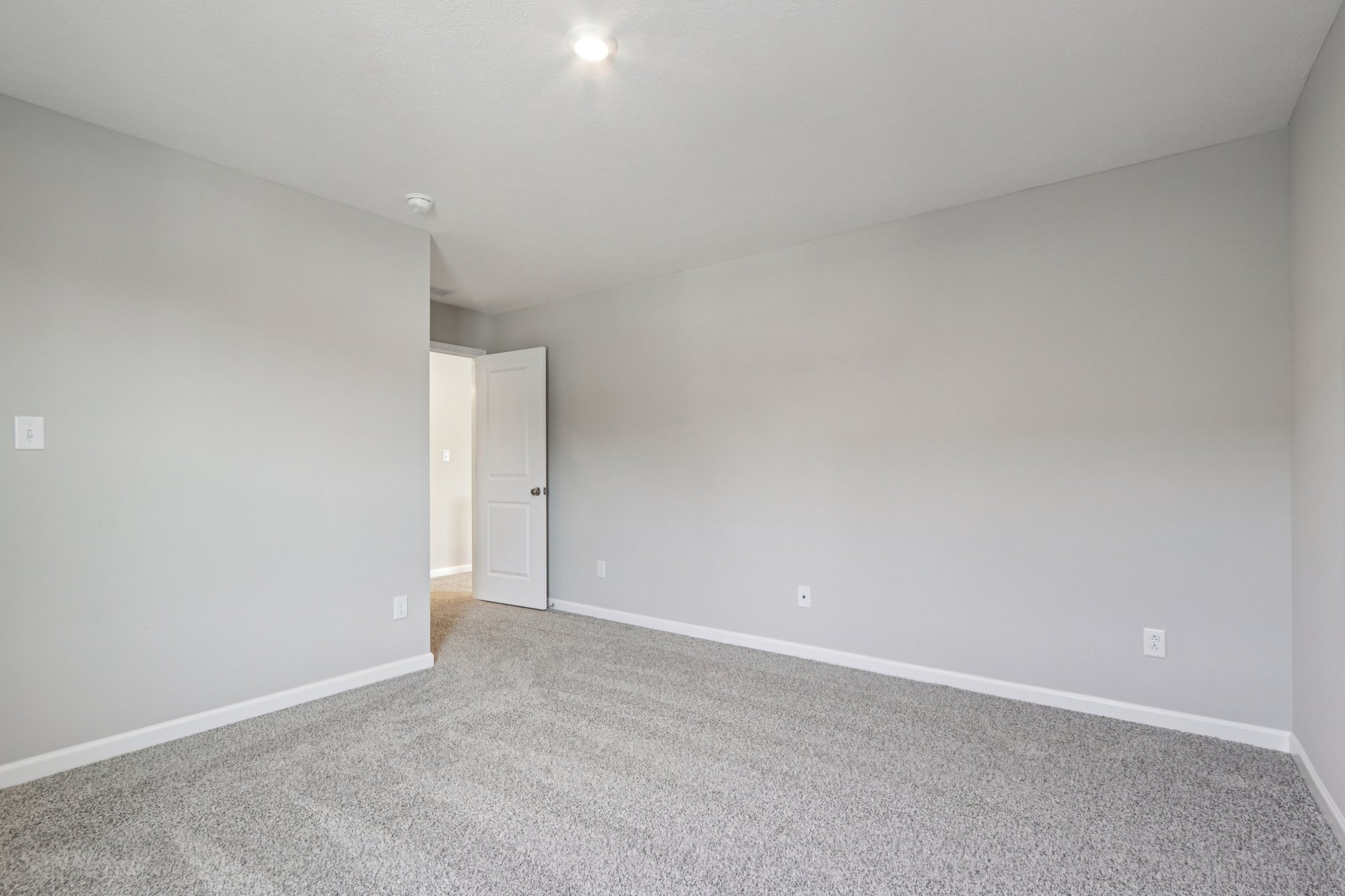 Elaine Ct-S2201-048.jpg