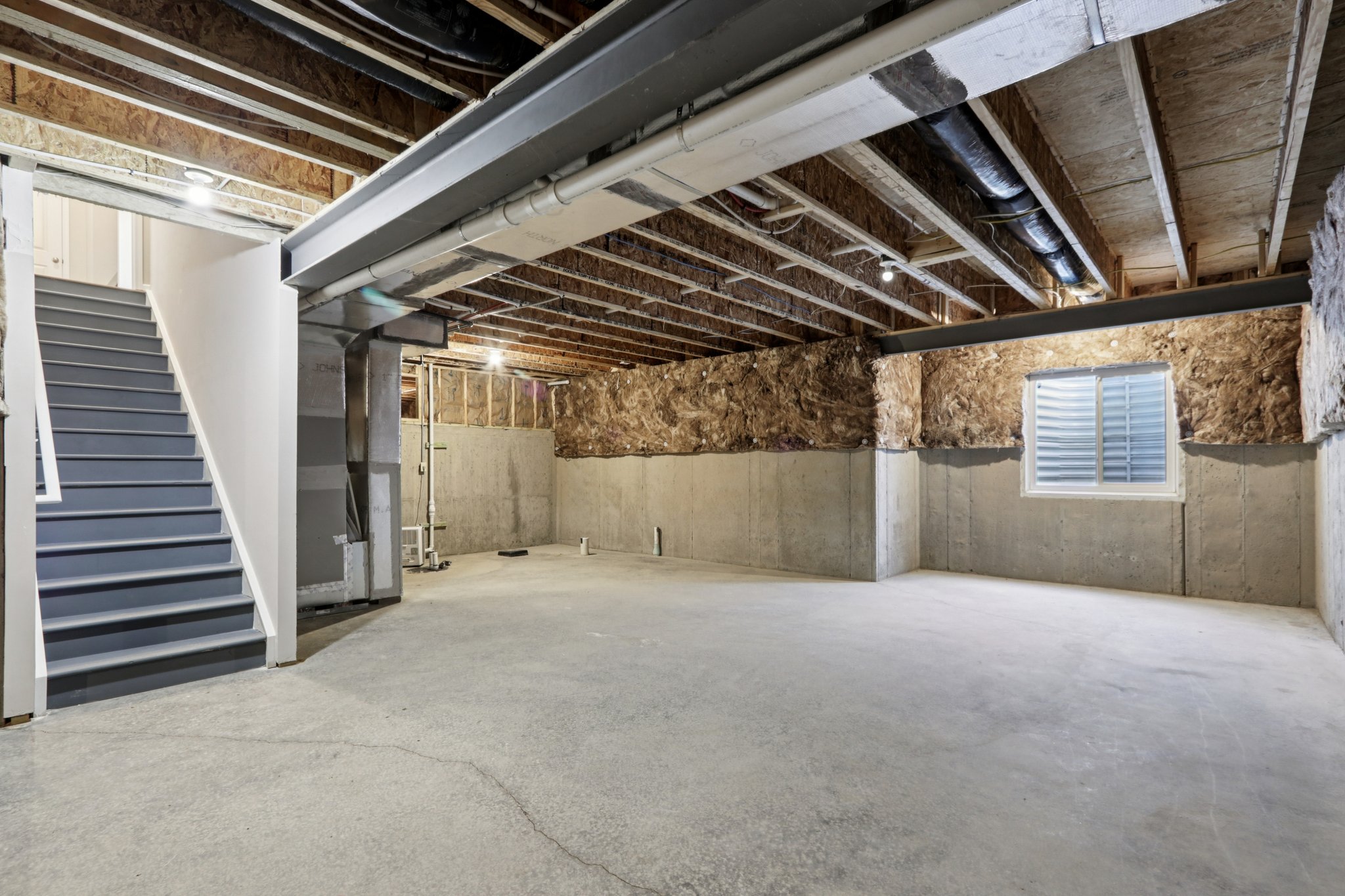 Elaine Ct-S2201-052.jpg