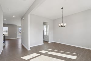 Elaine Ct-S2201-008.jpg