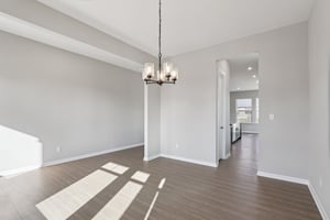 Elaine Ct-S2201-011.jpg