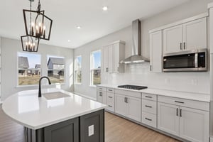 Elaine Ct-S2201-017.jpg