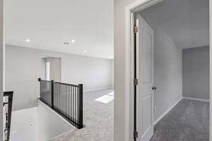 Elaine Ct-S2201-027.jpg